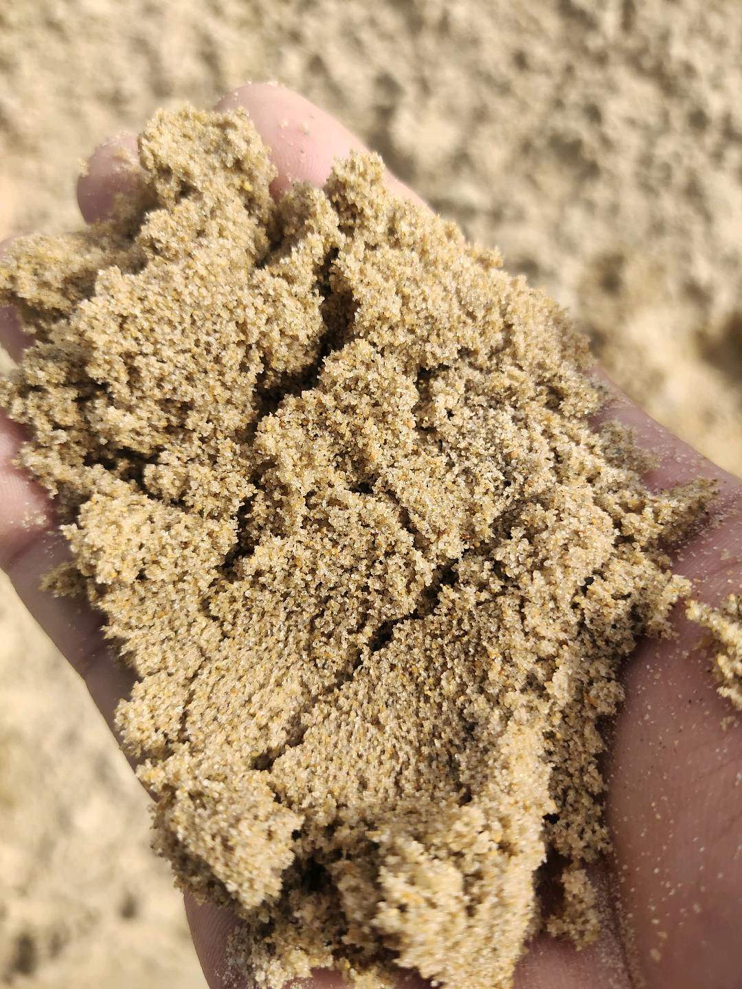 小黄沙